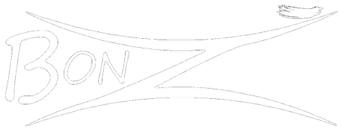 Bonzi Platform Logo
