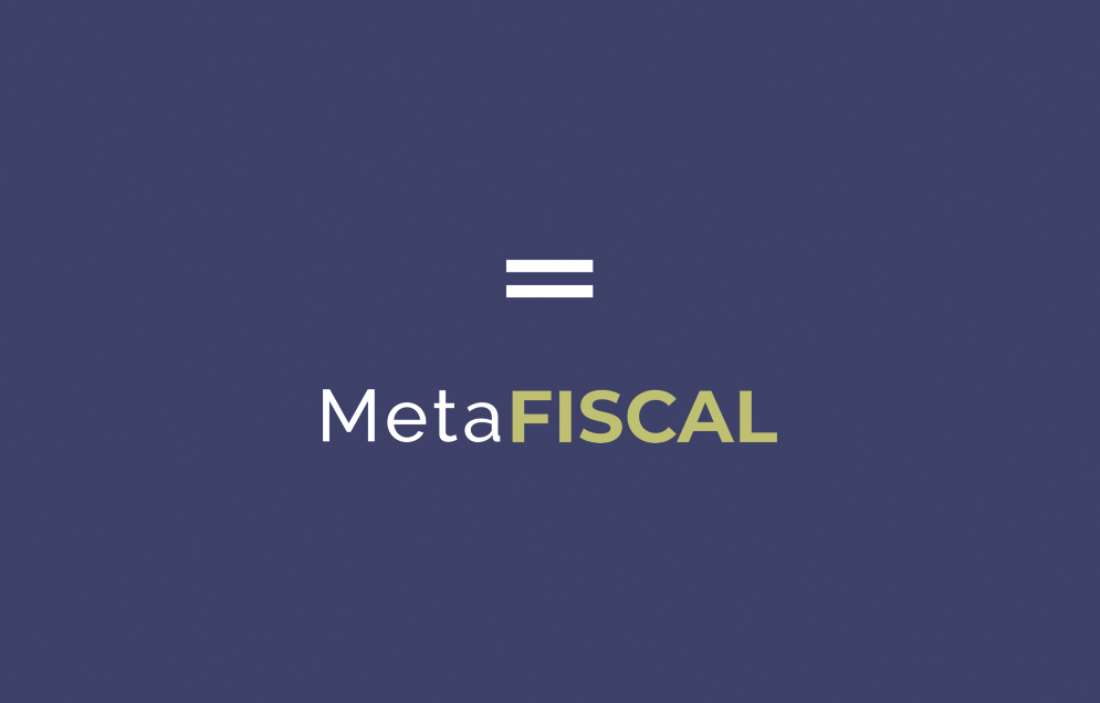 Meta Fiscal brand panel
