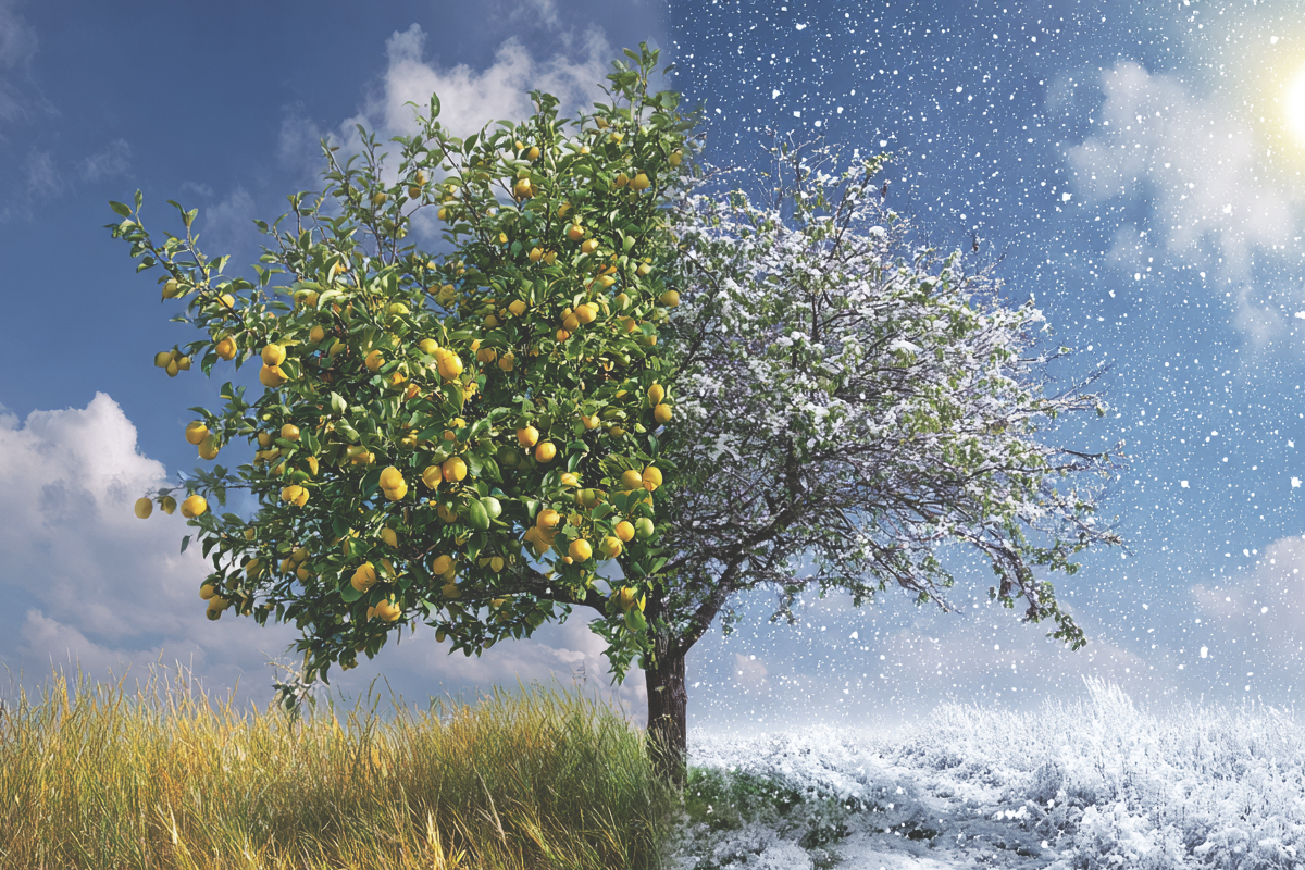 Year-round tax support: notices, amendments, planning