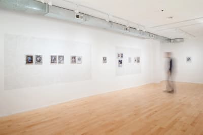 Gallery documentation of a solo exhibition of colour photos and wall paintings
