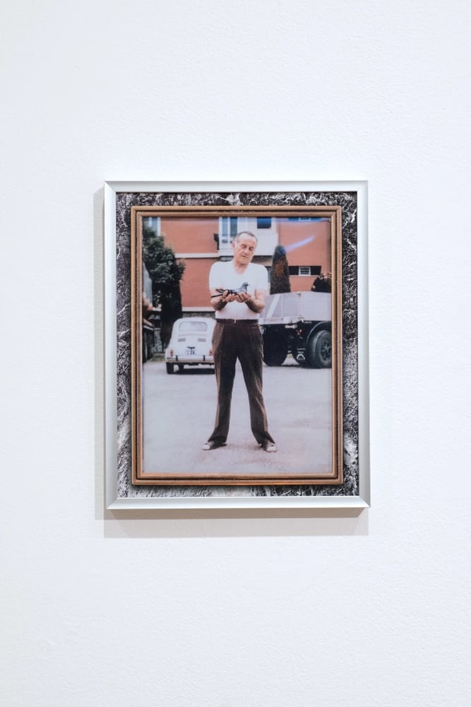 Colour photo of a standing man holding a pigeon