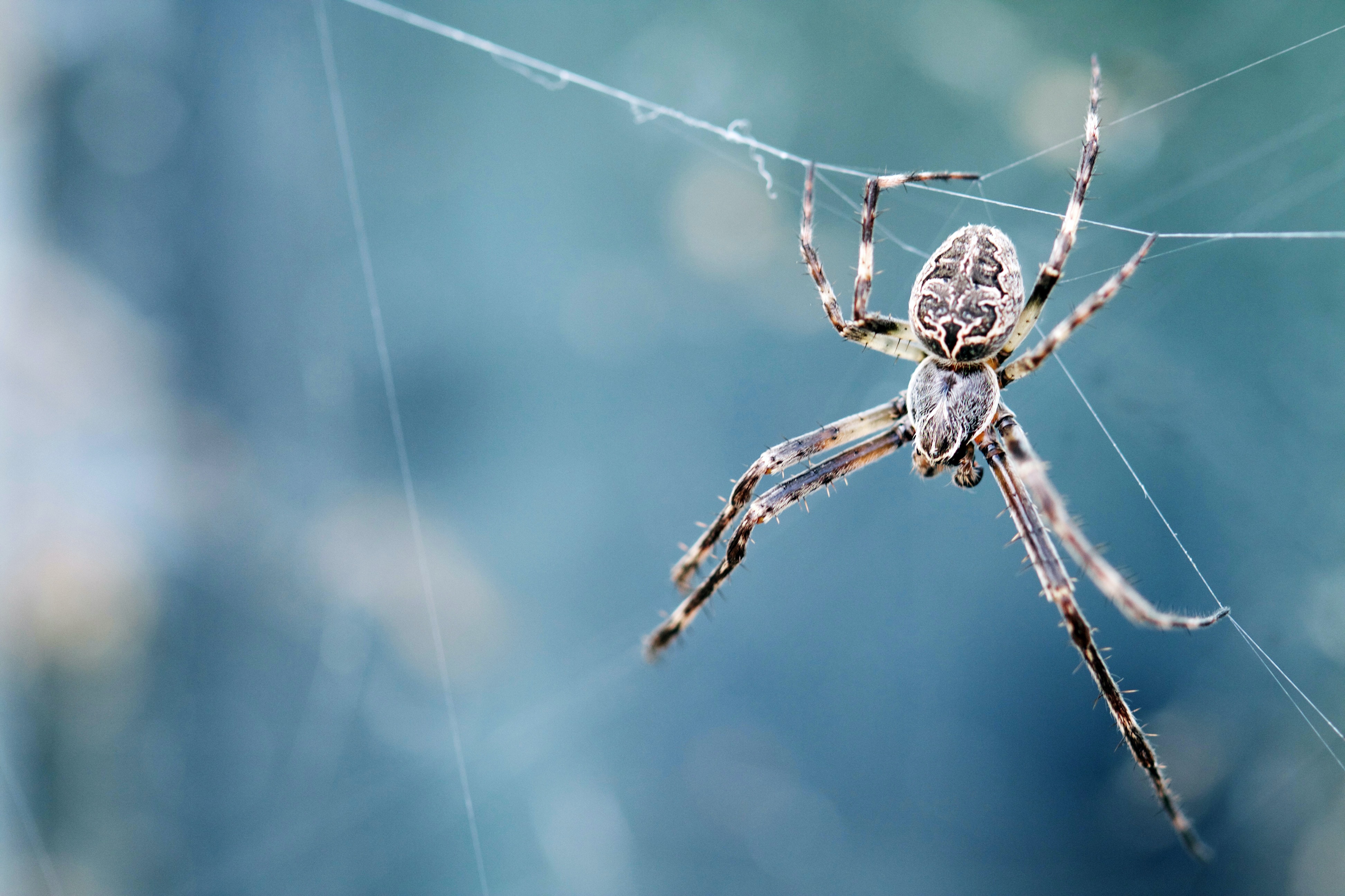 Photo by Dev Leigh on Unsplash