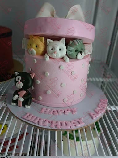 Cat Gift Box Baby Girl Birthday Cake Rawalpindi