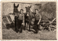 Hermanos Aguado