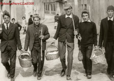 Quintos