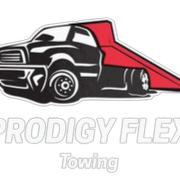 Prodigy Flex LLC