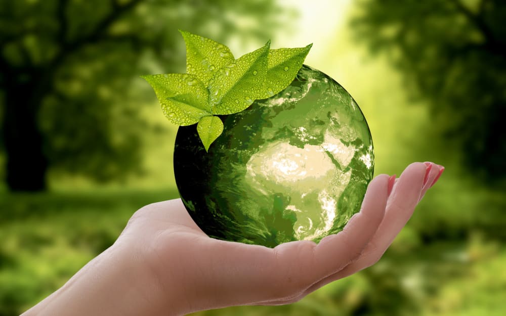 Ecology wallpaper