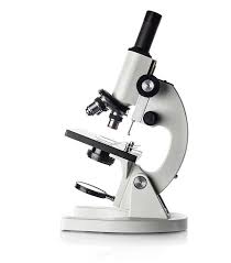 Microscope