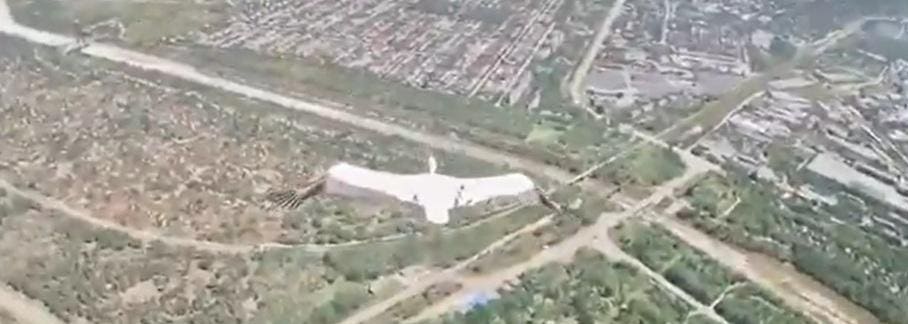 How A Ukrainian Stork Outflew A Russian Drone And What This Tells Us