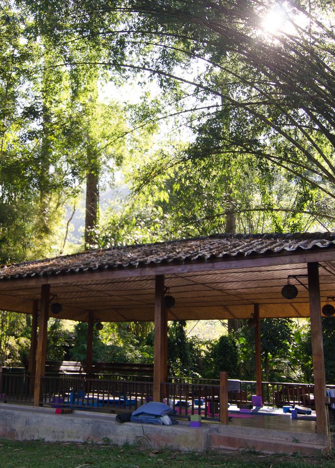 The sala at the Nest