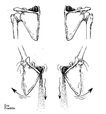 ShoulderBladeMovmtEdit “Dump the sand” to learn how to keep your supraspinatus tendon safe.