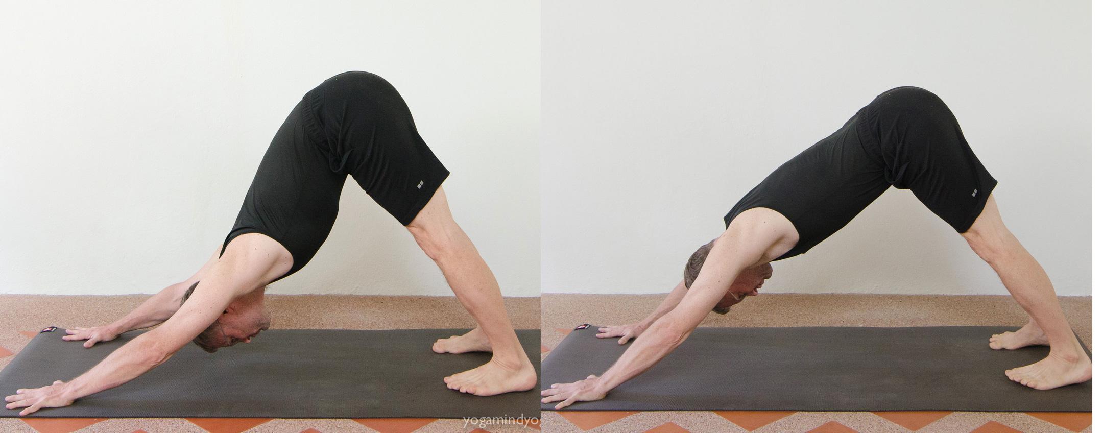Vastly different hip and lower back alignment in Down Dog
