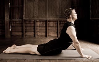 Spread your wings in backbends like Cobra Pose.