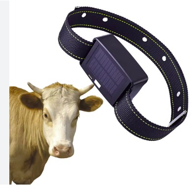 Collier intelligent Ruminant