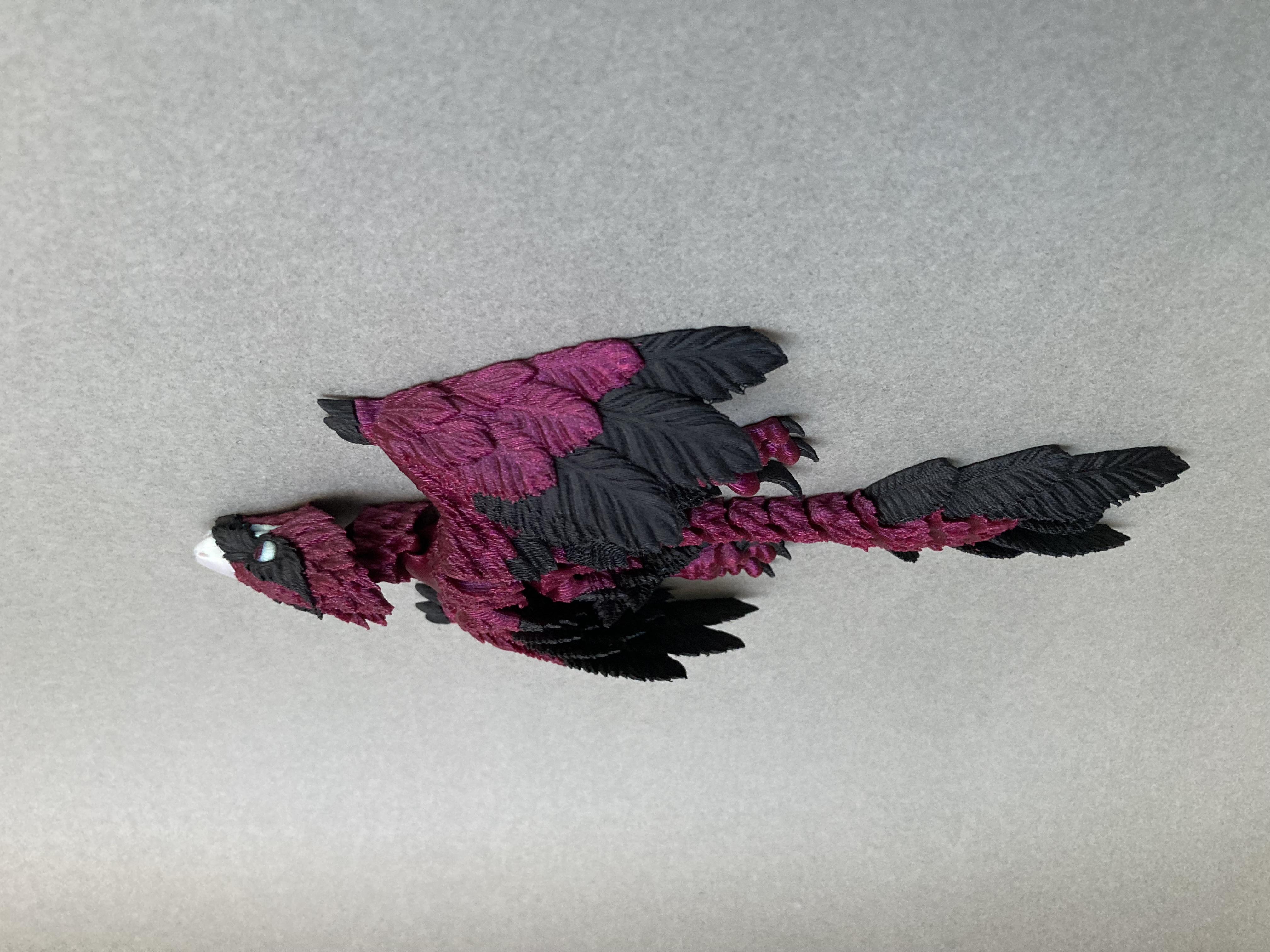 Microraptor 1 piece