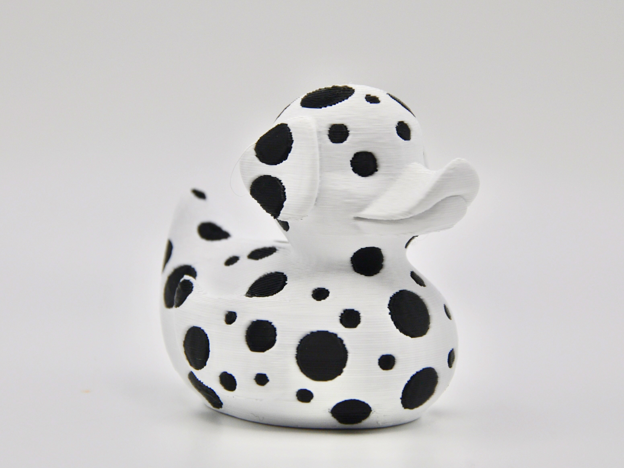 Dalmation Duck