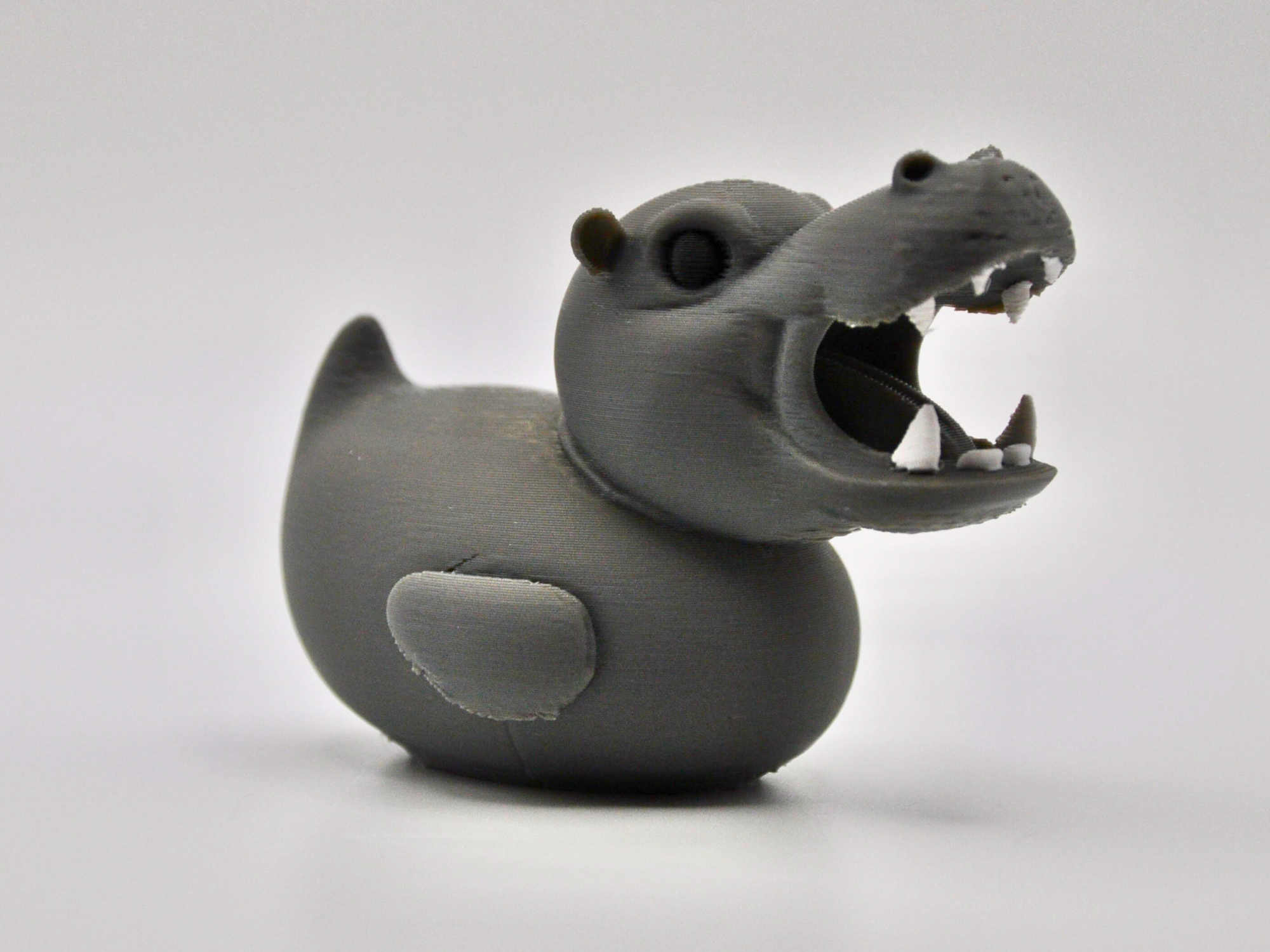 Hippo Duck