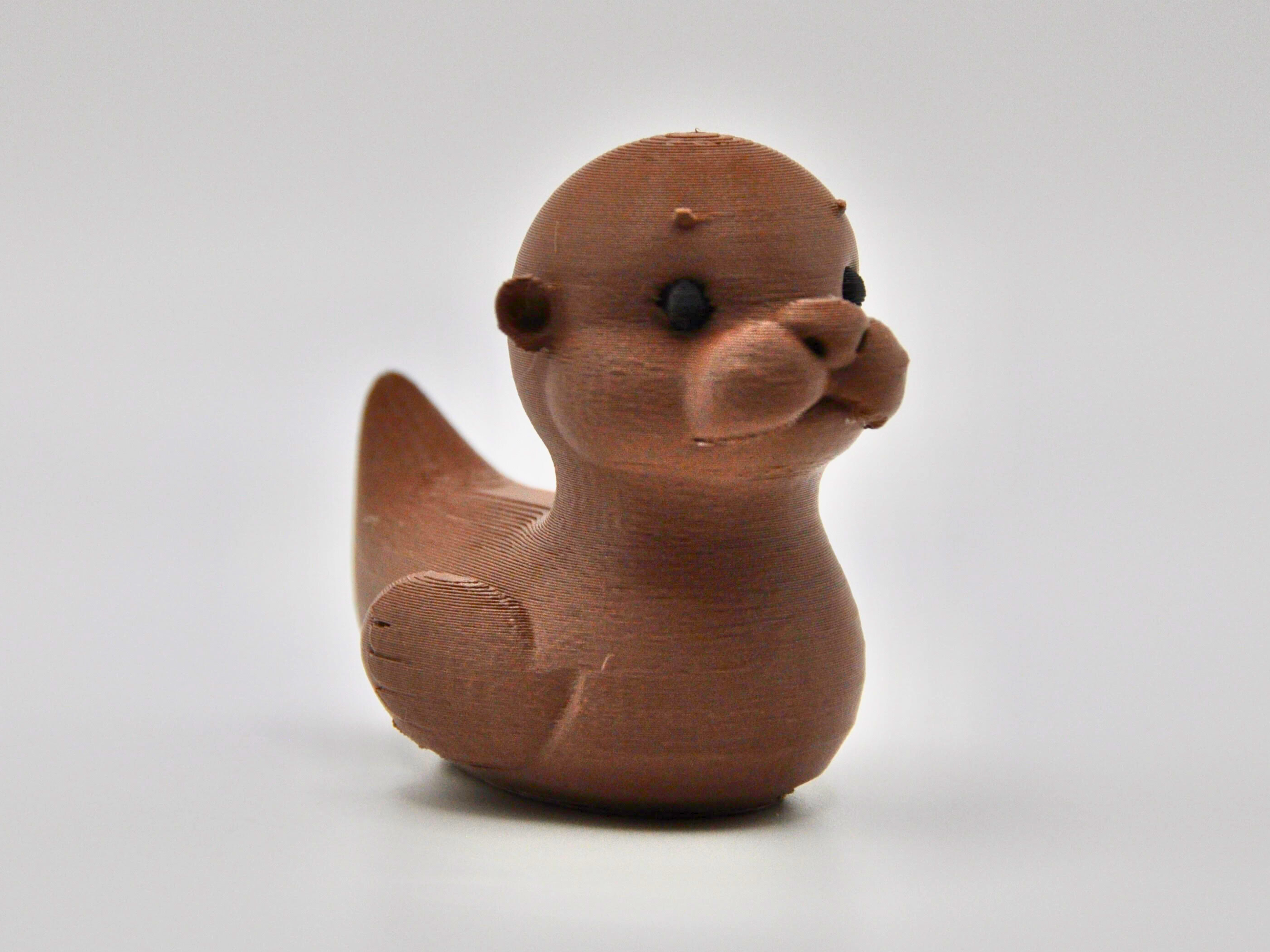 Otter Duck