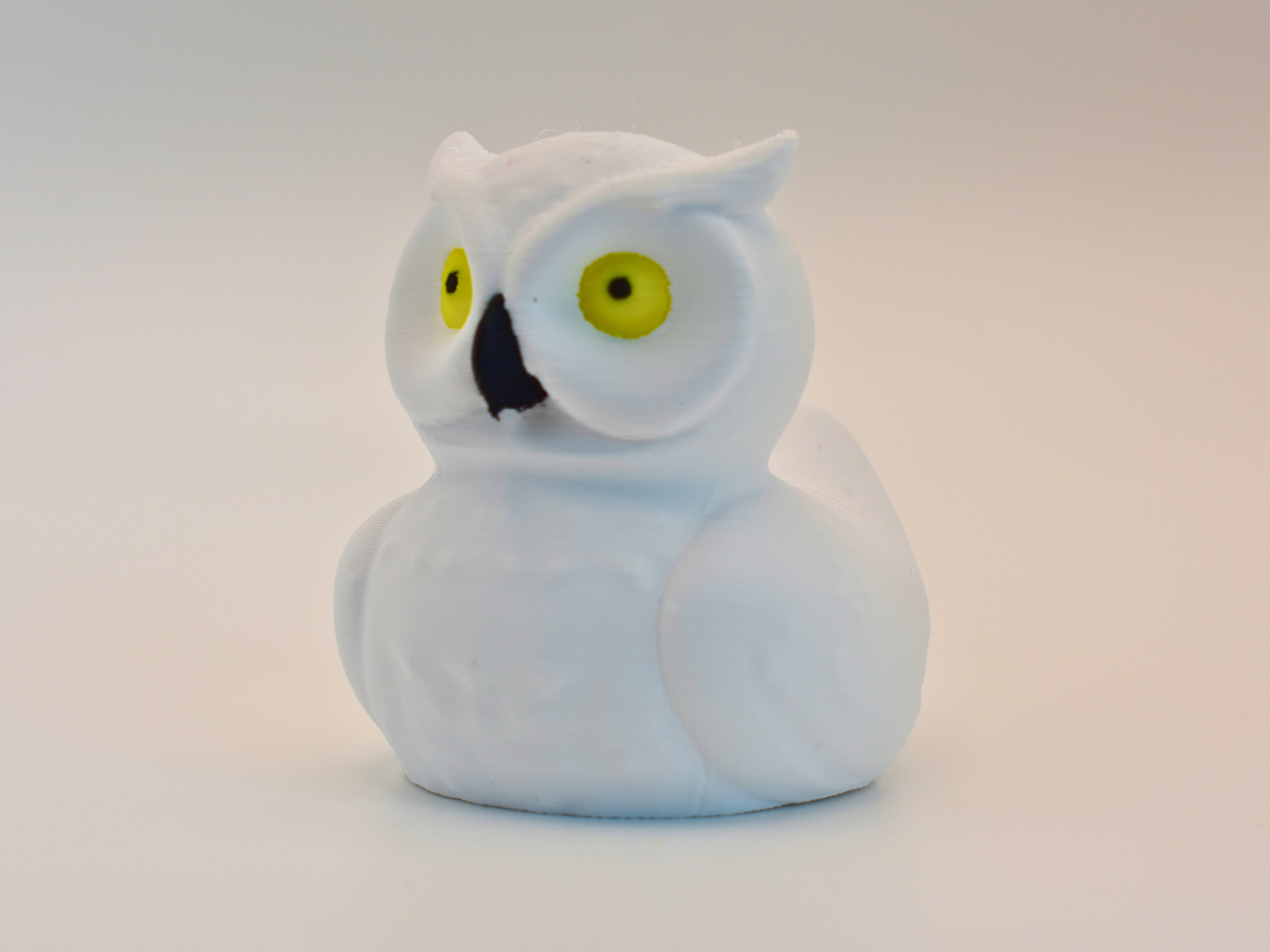 Owl Duck