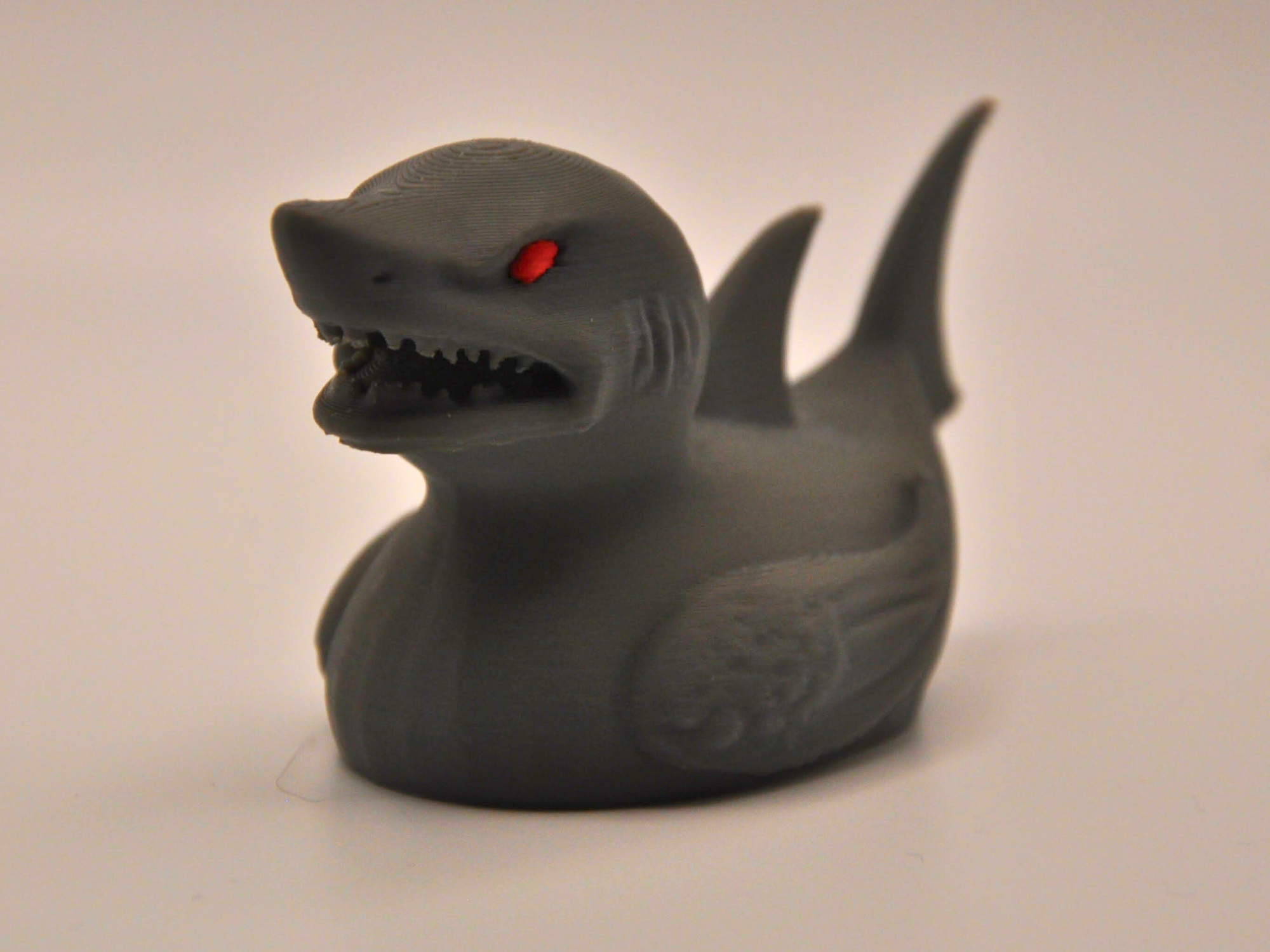 Shark Duck