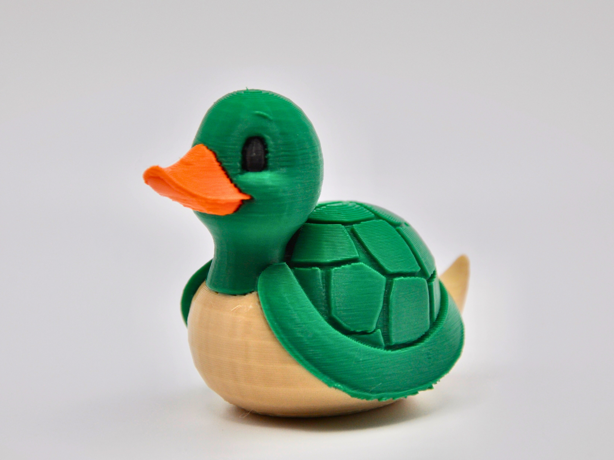 Turtle Duck