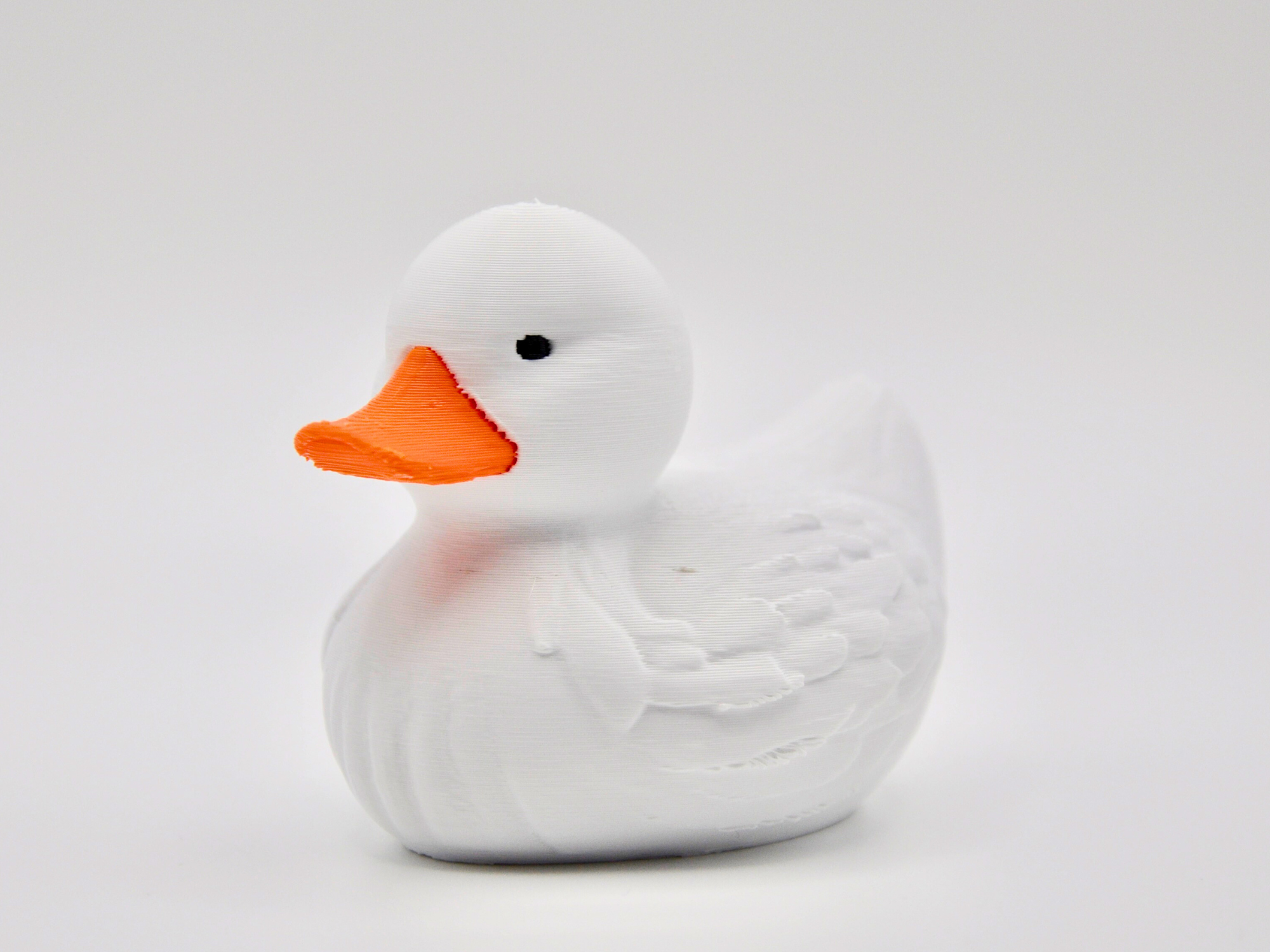 Pekin Duck