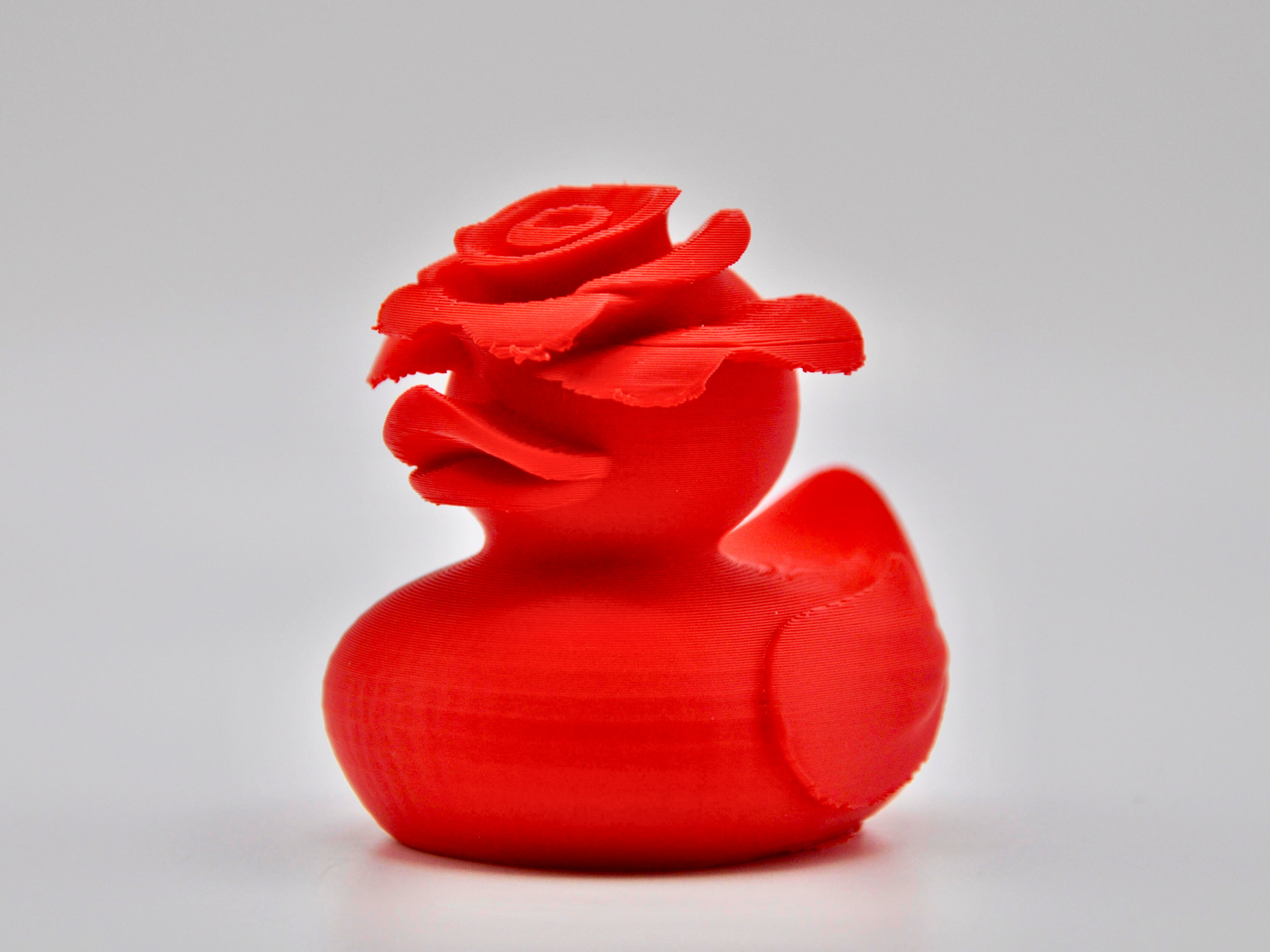 Rose Duck