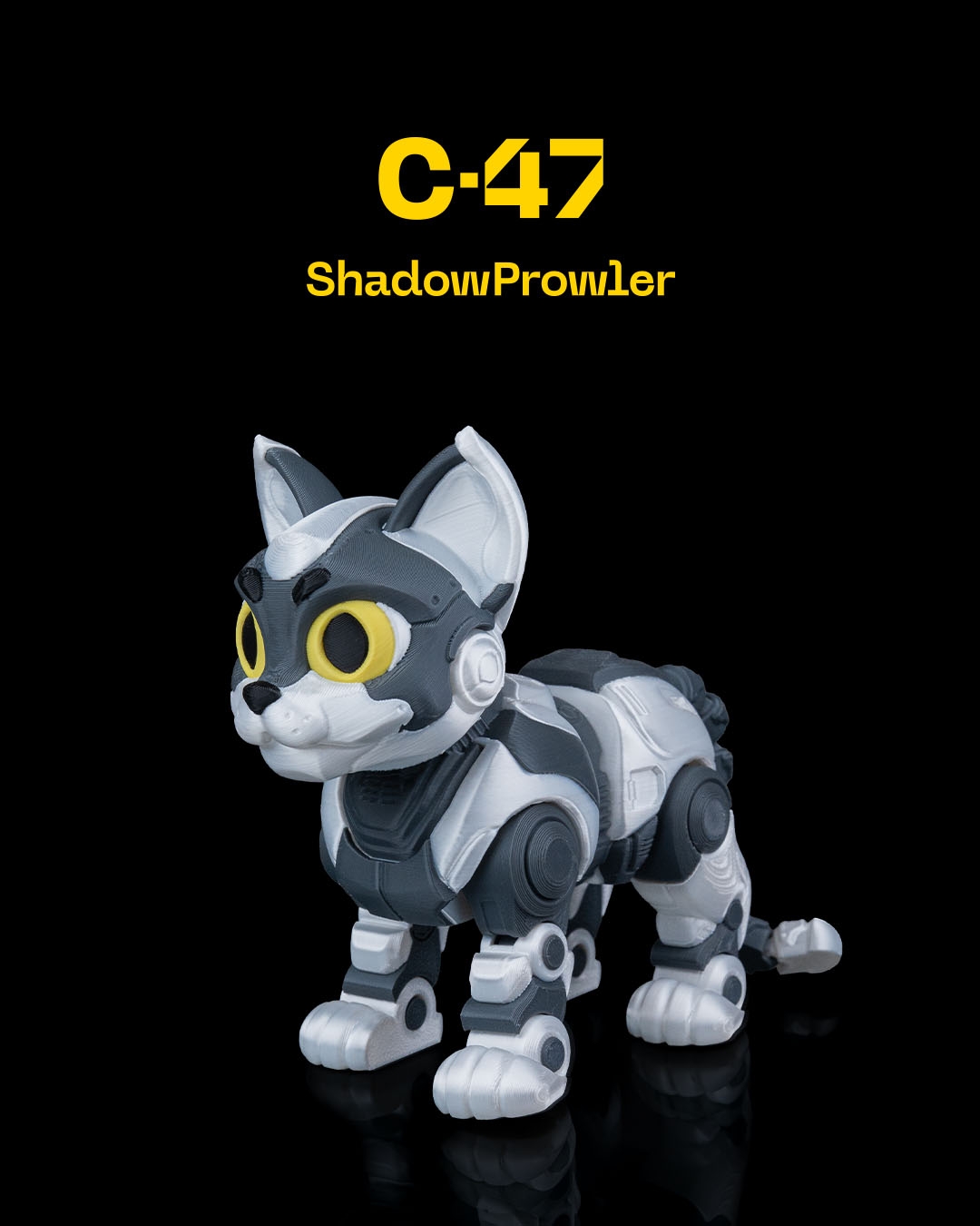 C-47 ”ShadowProwler”