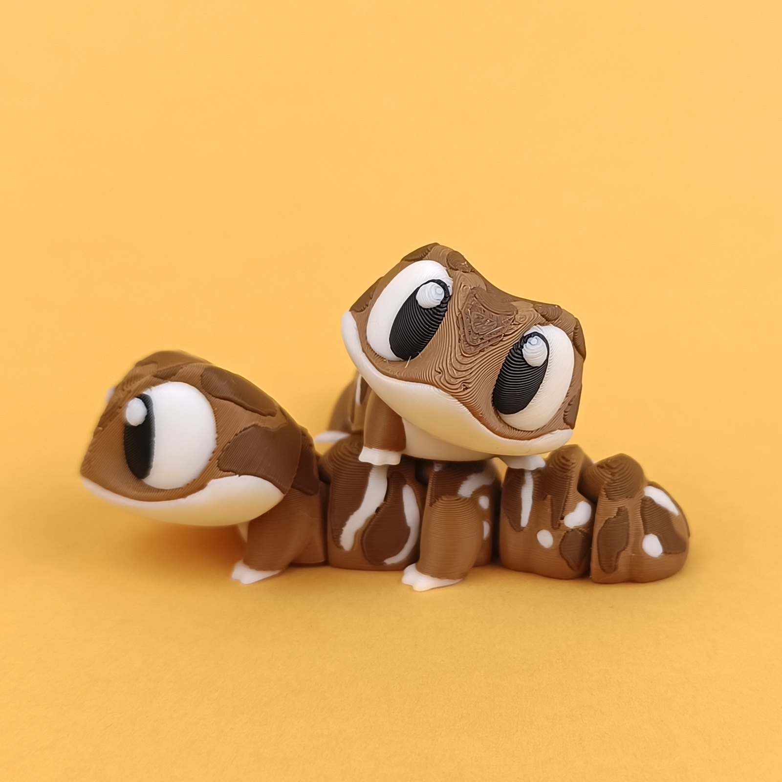 Geckos