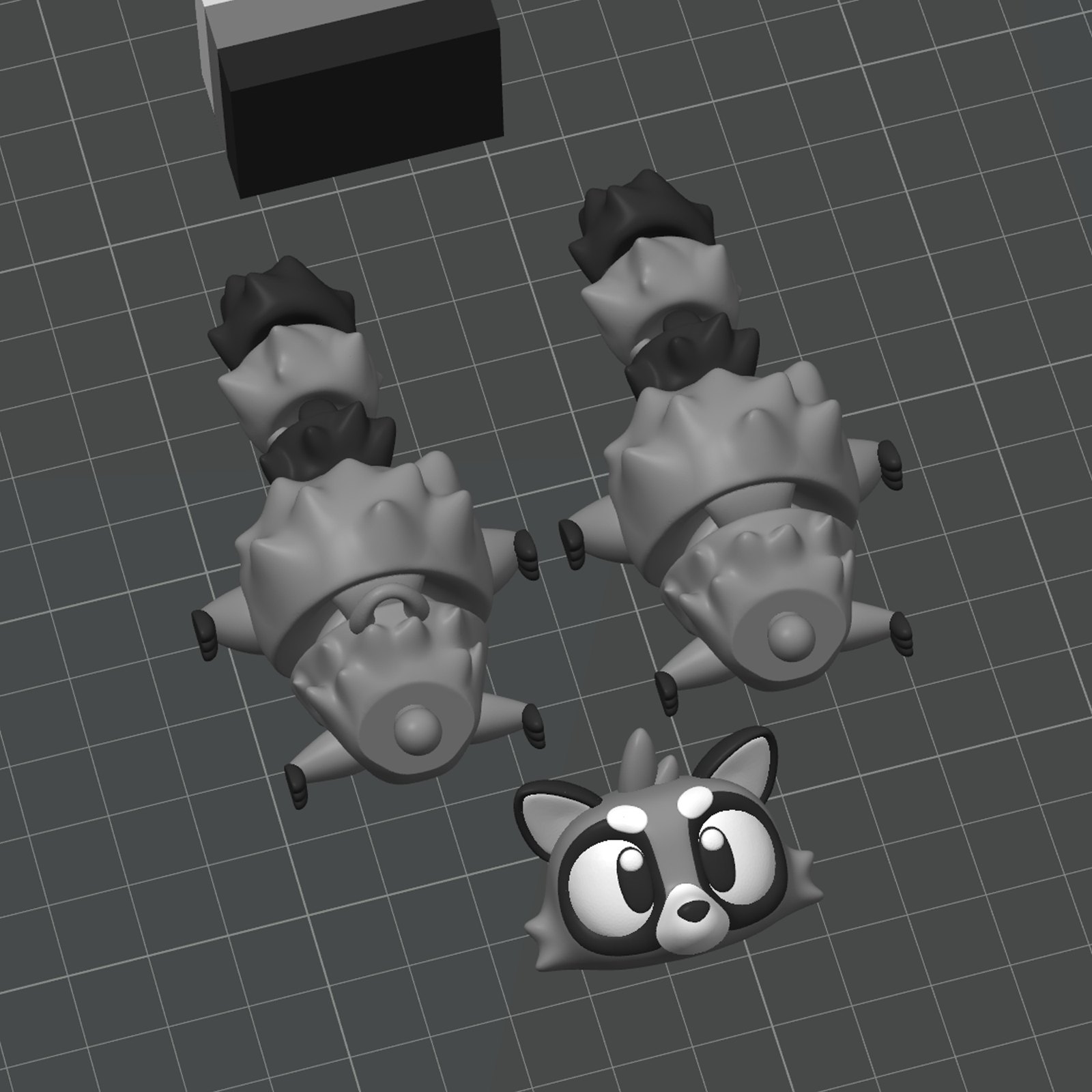Raccoon