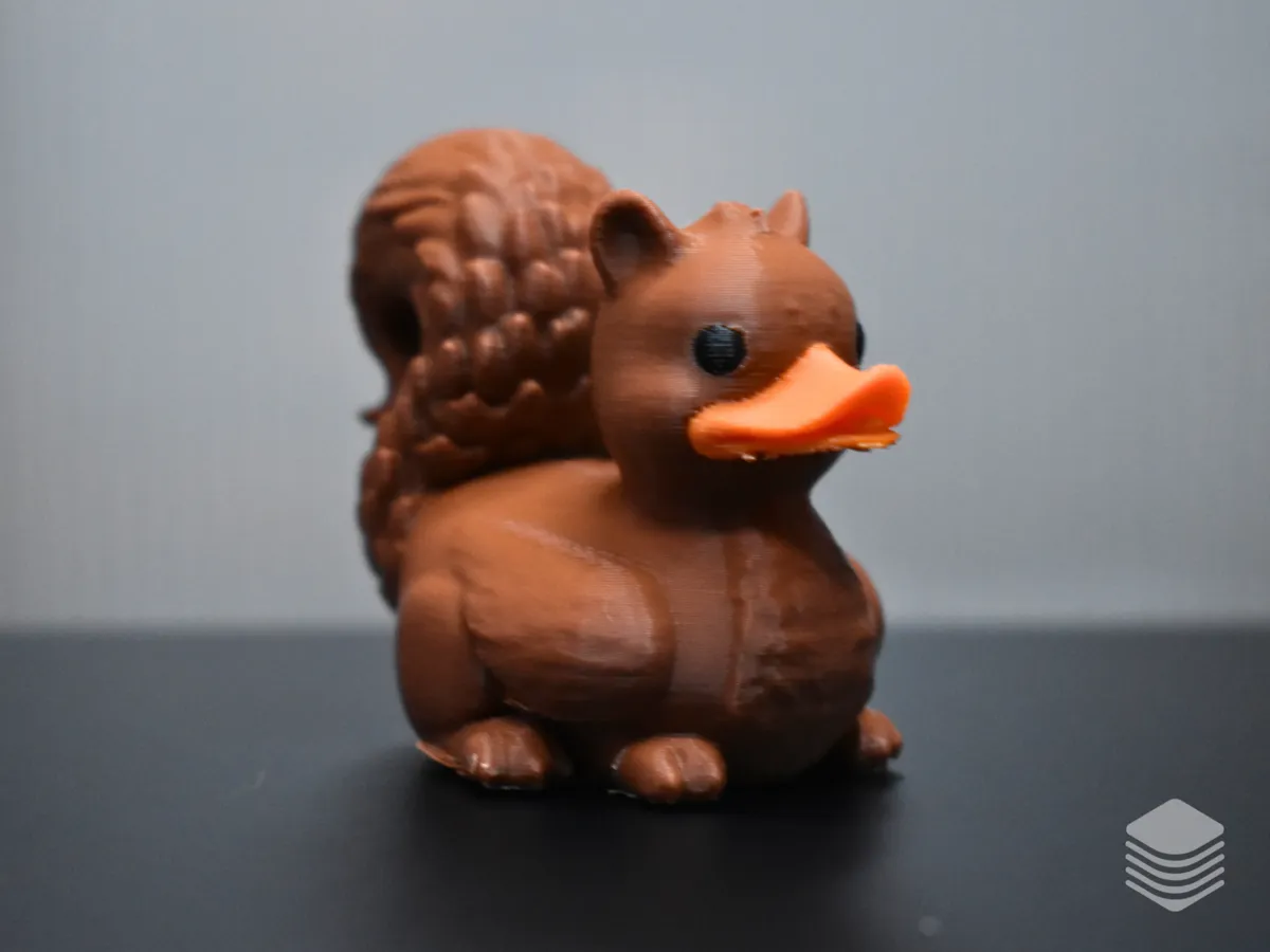Squirl Duck