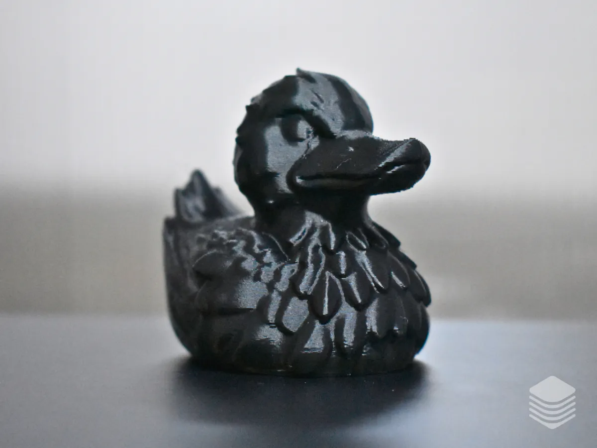 Raven Duck