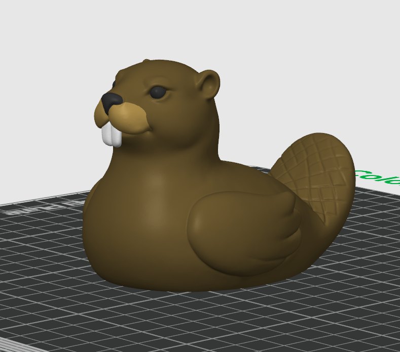 Beaver