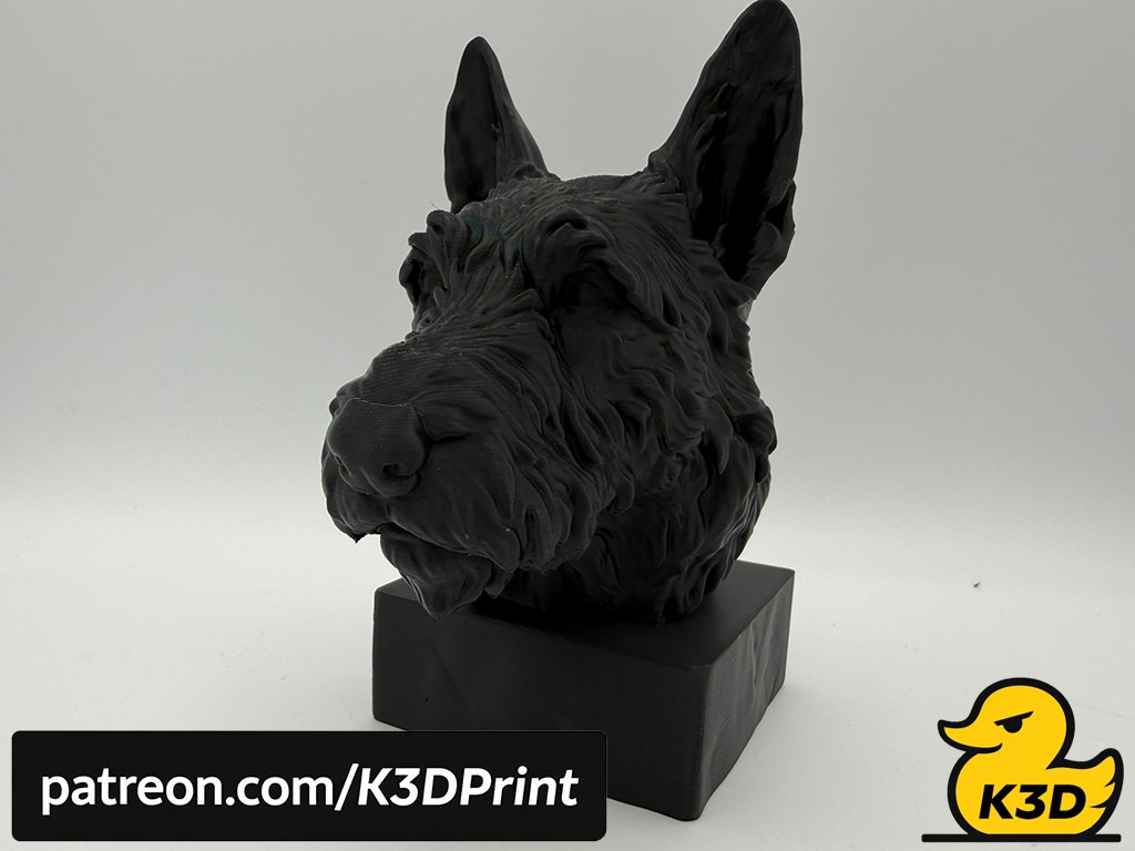 Berger Picard Bust