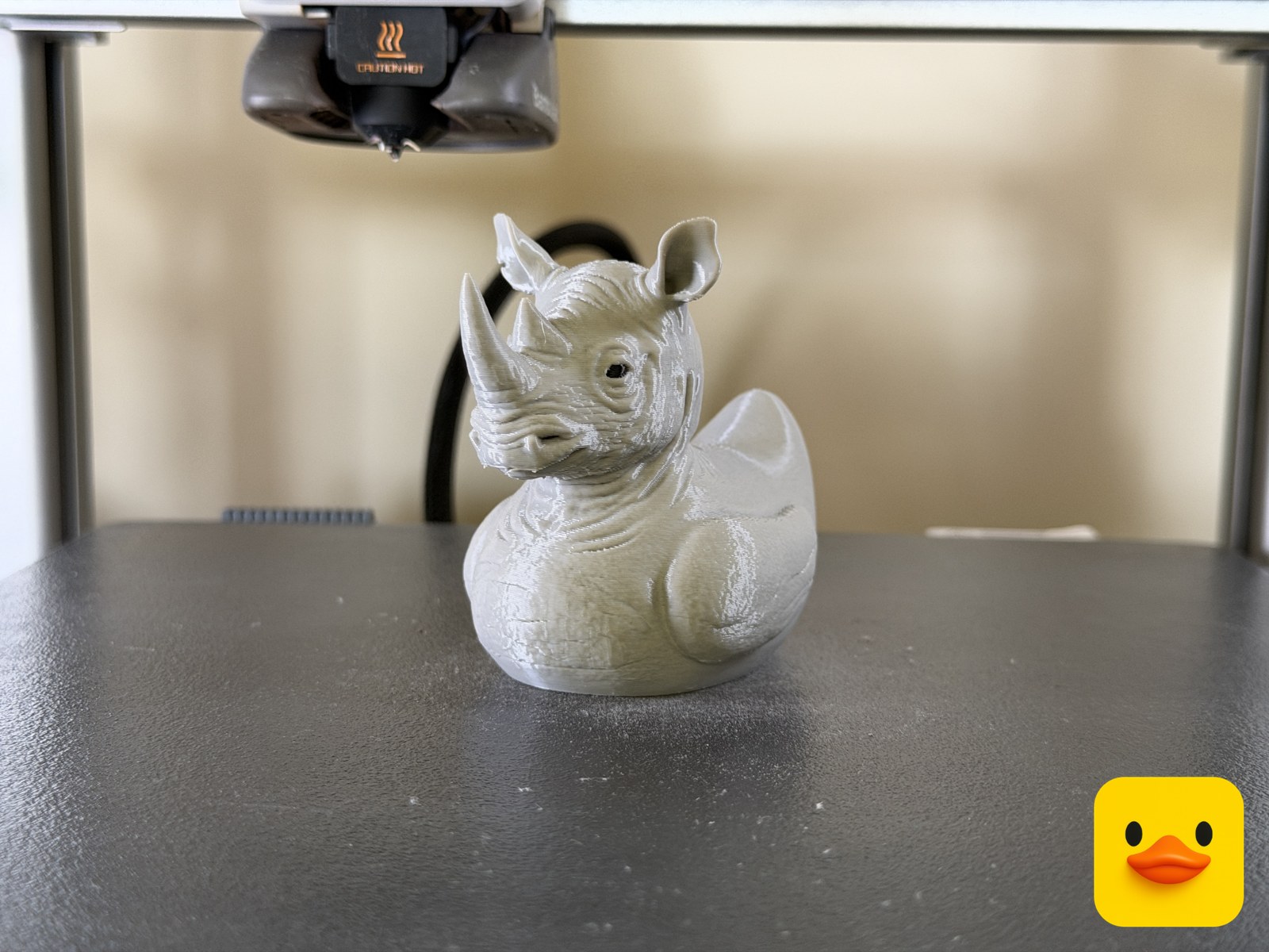 Rhino Duck