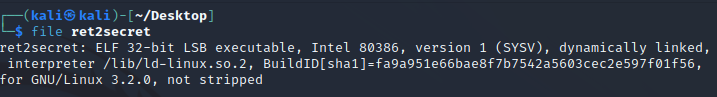file info