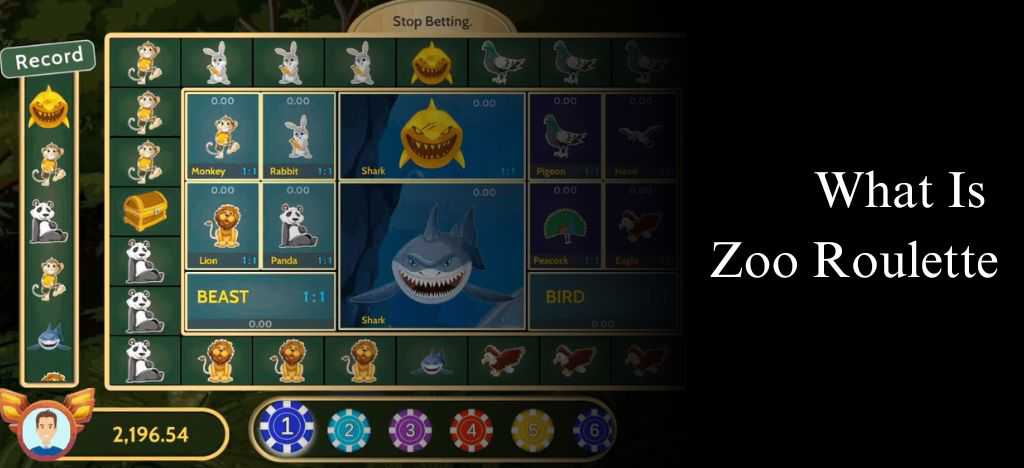 What Is Zoo Roulette? Zoo Roulette Rules, Tricks and How to Play