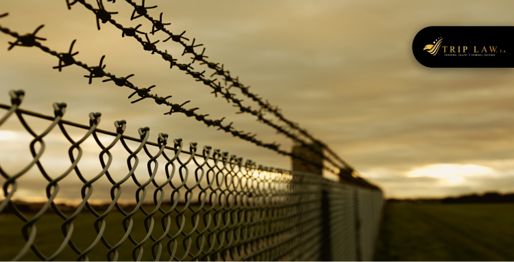 Sentencing (If Convicted)
