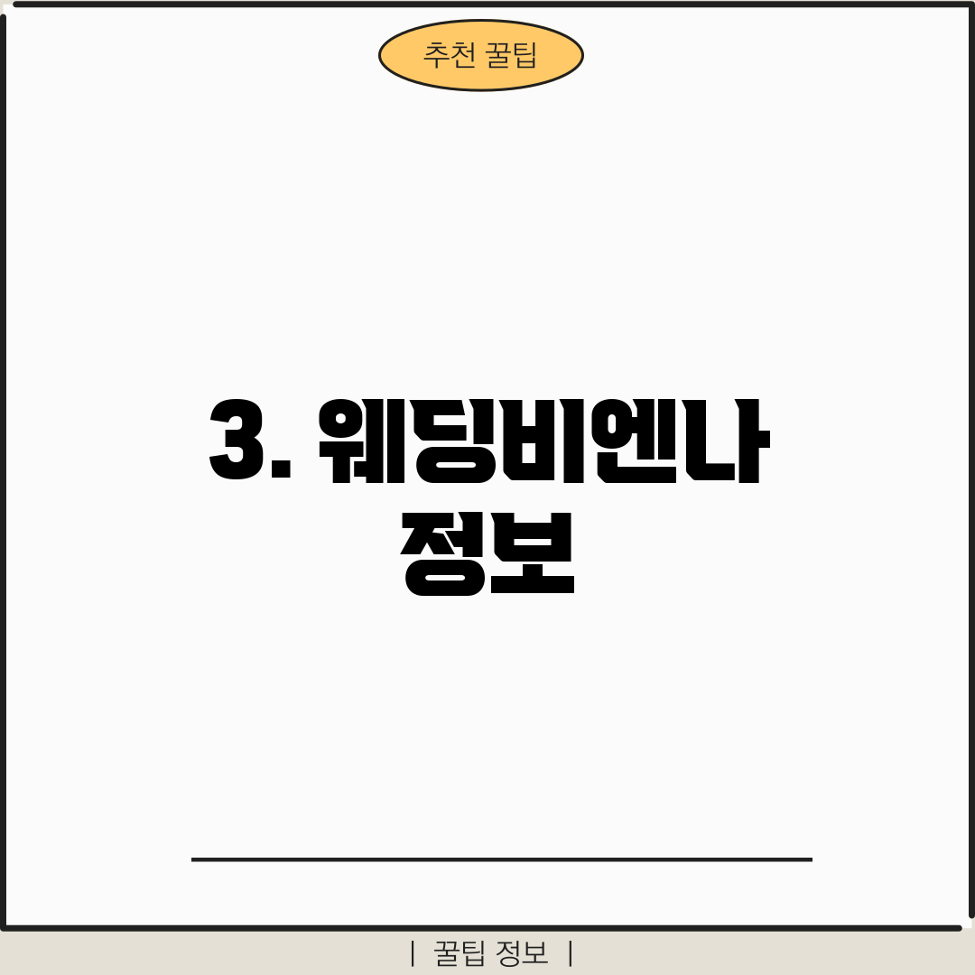 3. 웨딩비엔나 정보