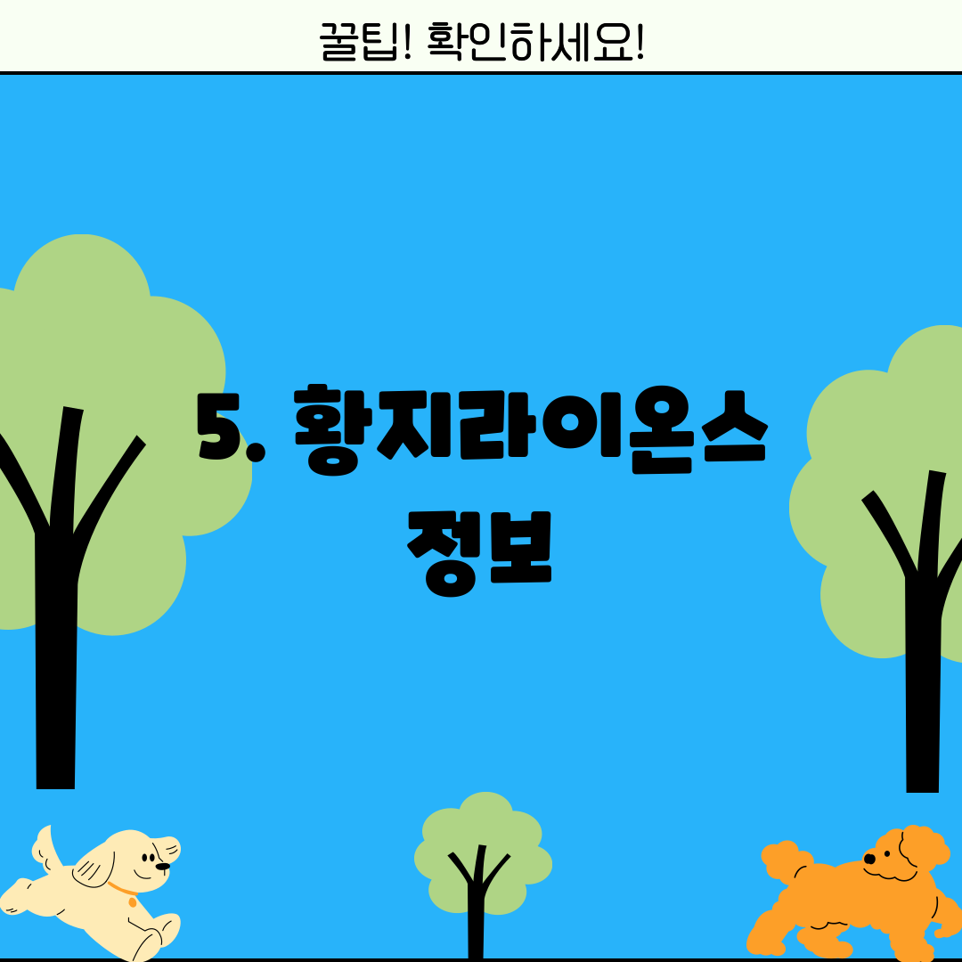 5. 황지라이온스 정보