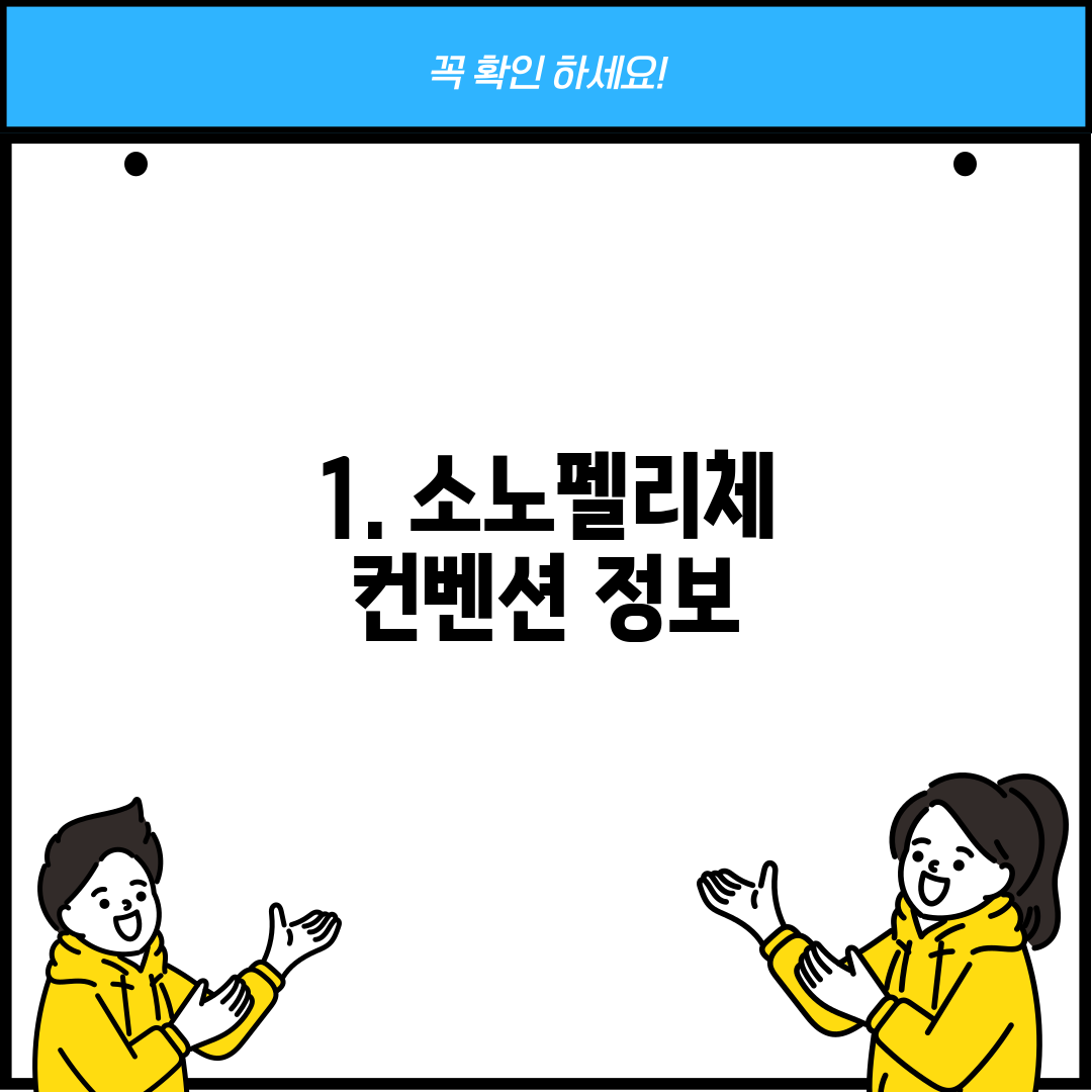1. 소노펠리체 컨벤션 정보