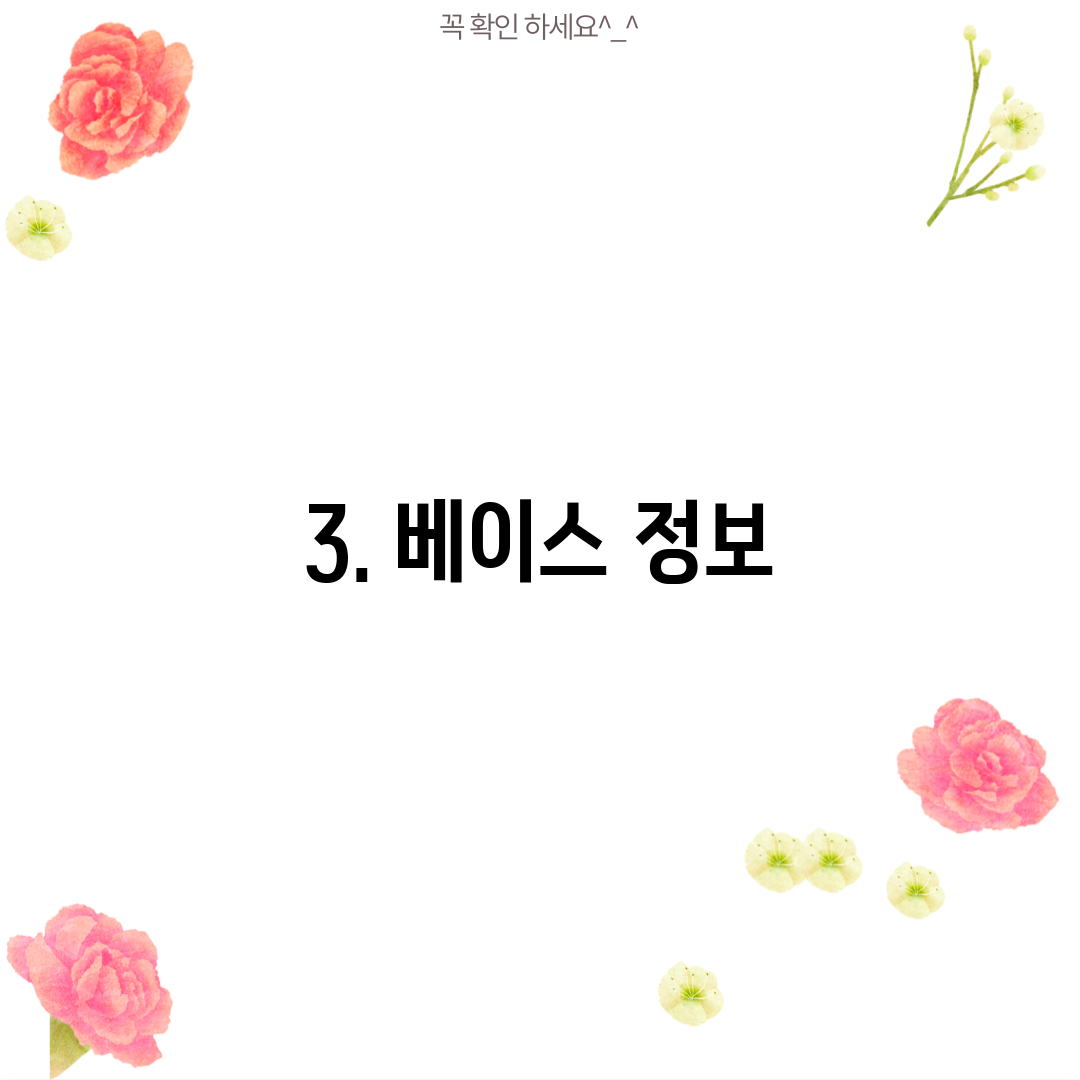 3. 베이스 정보
