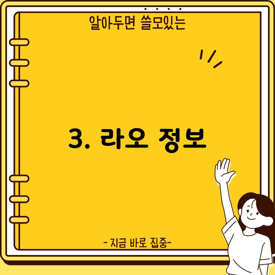 3. 라오 정보