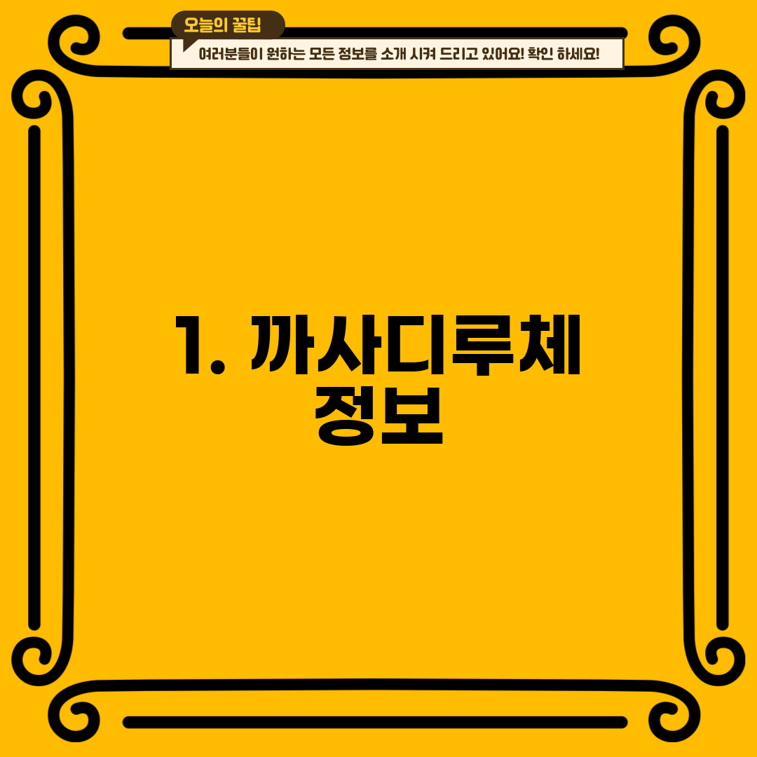 1. 까사디루체 정보