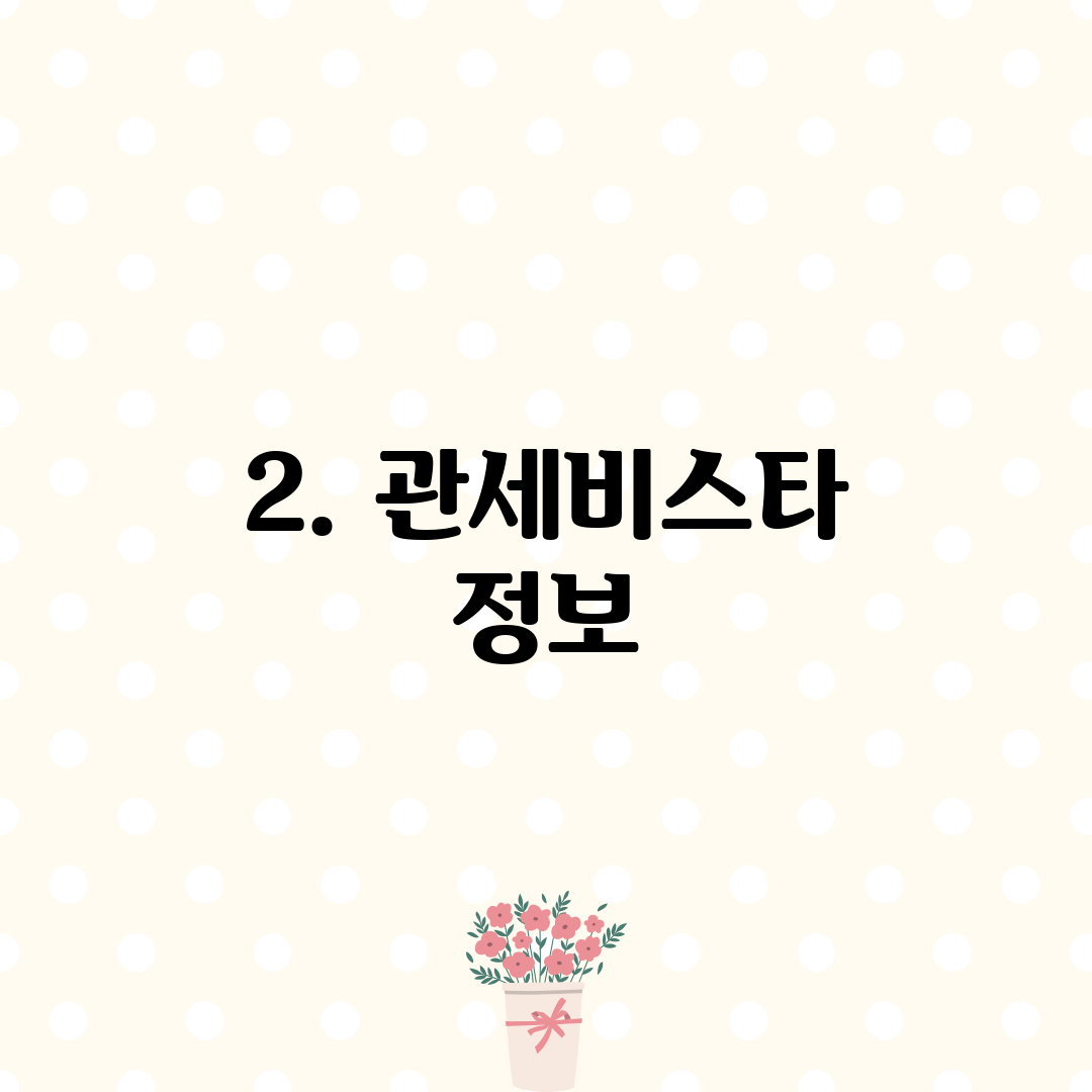2. 관세비스타 정보