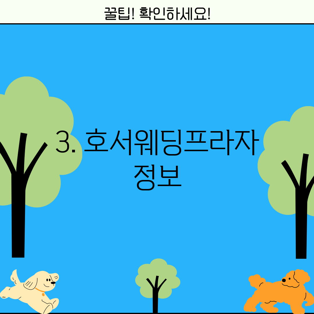 3. 호서웨딩프라자 정보