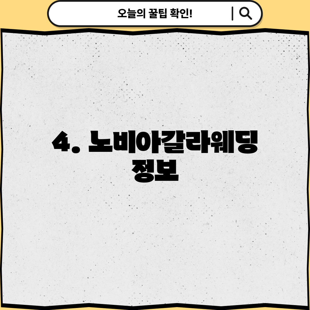 4. 노비아갈라웨딩 정보