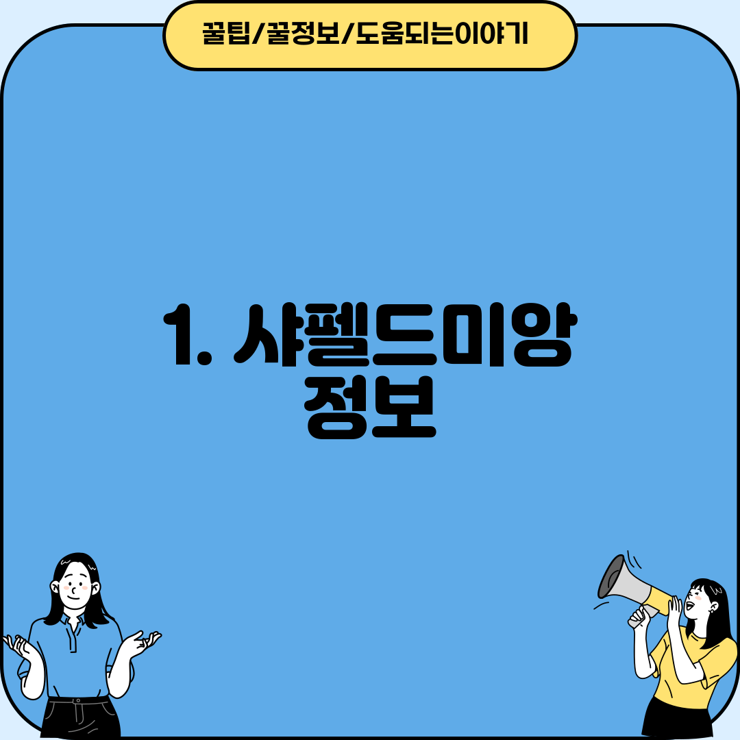 1. 샤펠드미앙 정보