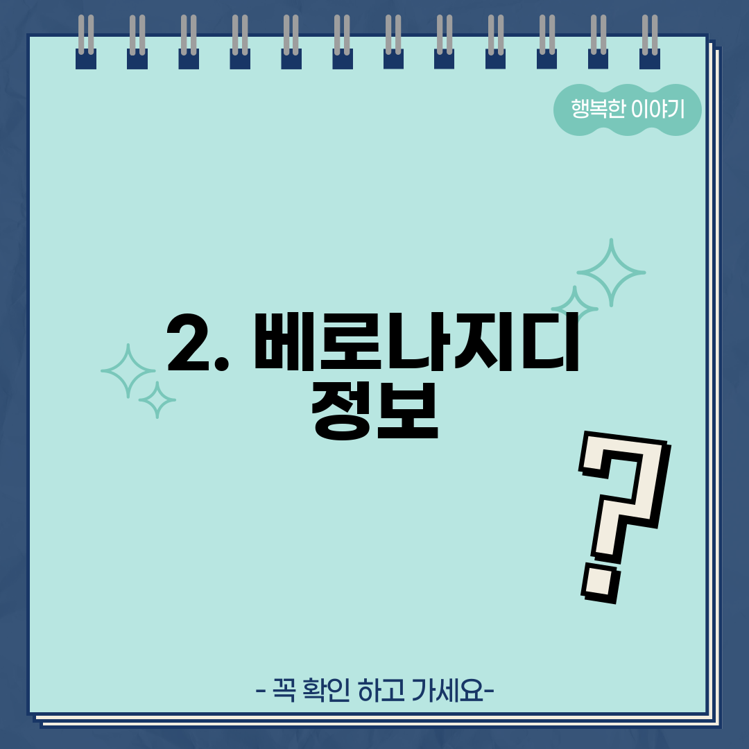 2. 베로나지디 정보
