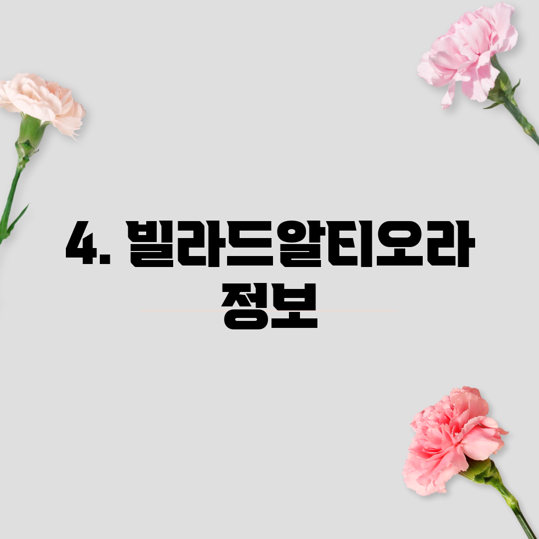 4. 빌라드알티오라 정보